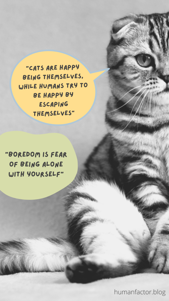 cat and quotes